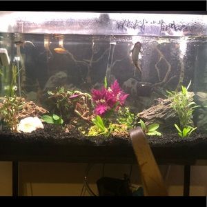 Meet your Posher, Davantae